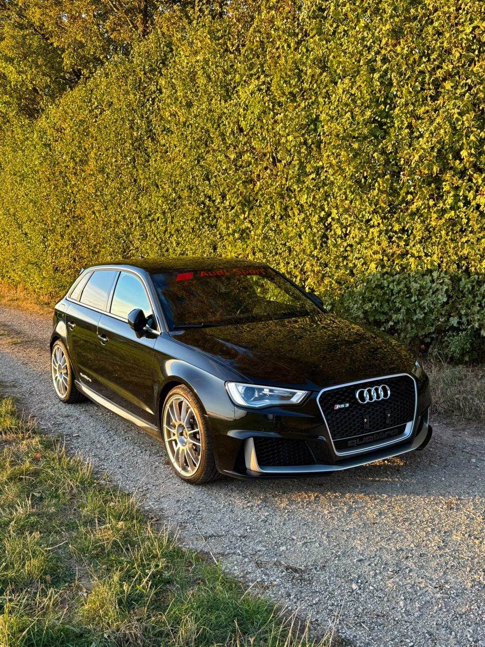 A club member’s Audi RS